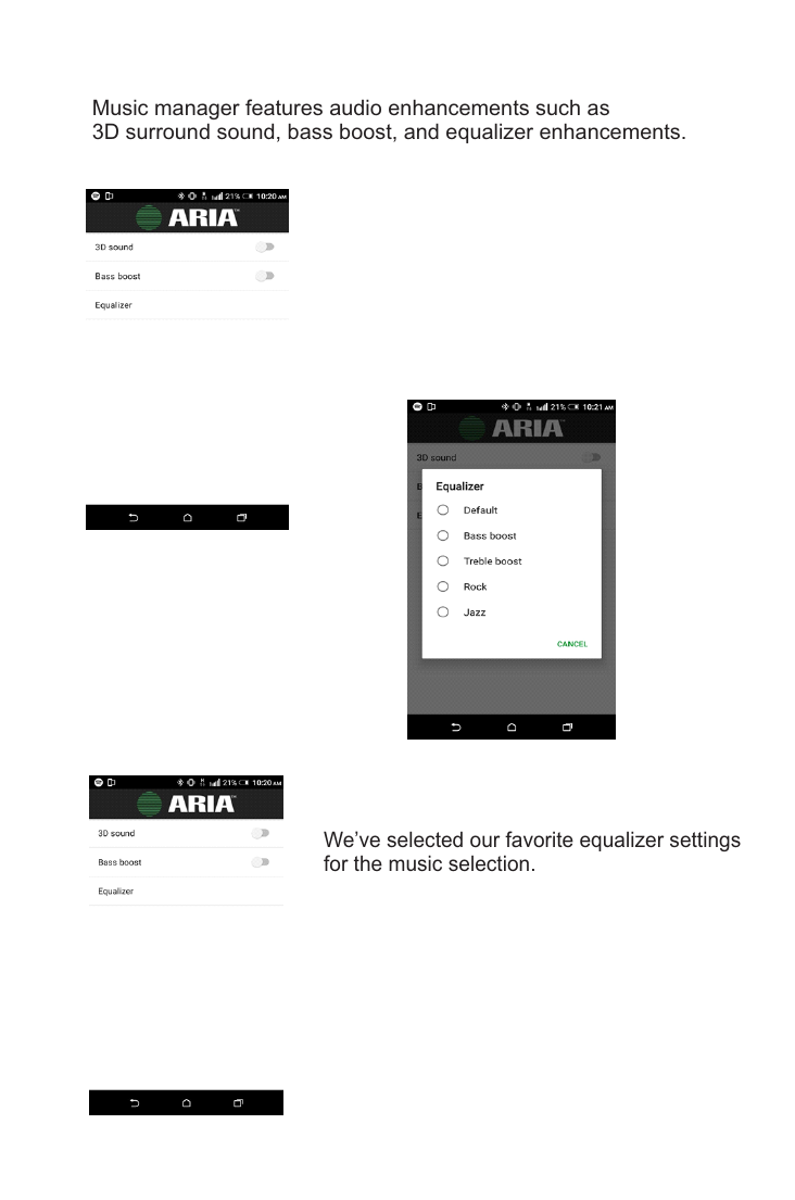 ARIA Music Manager audio settings and equalizer presets