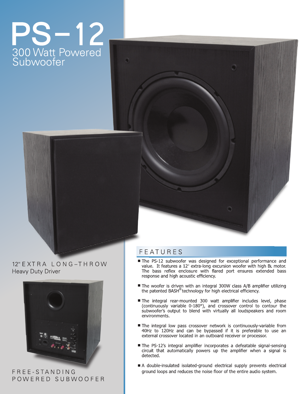 OEM Systems PS-12 powered subwoofer, front and rear views